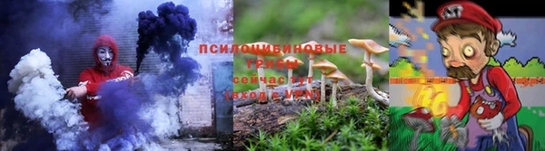 таблы Бородино