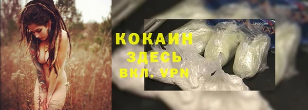 таблы Бородино