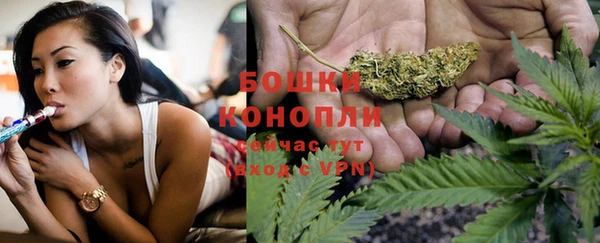 таблы Бородино