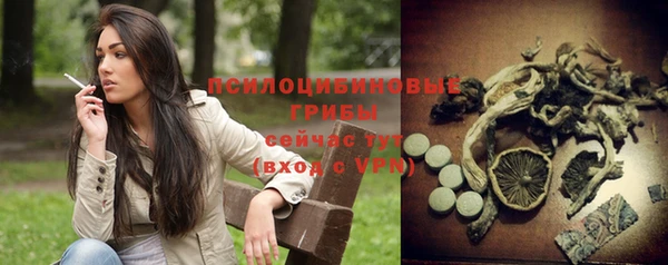 мдпв Бугульма
